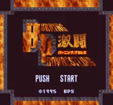 Image n° 1 - screenshots  : Gekitou Burning Pro Wrestling
